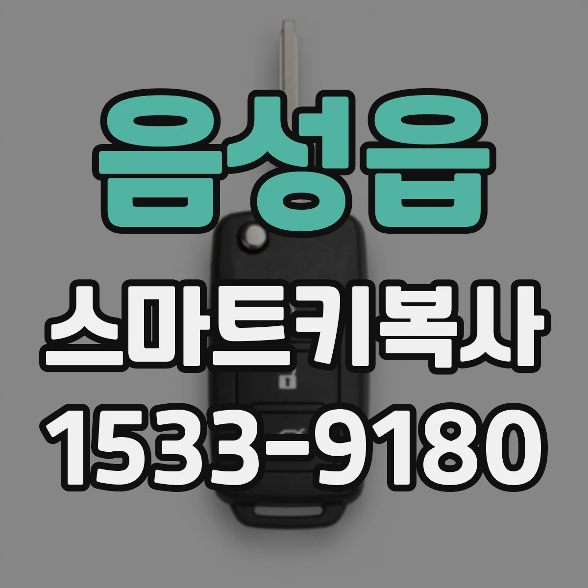 음성읍 스마트키복사