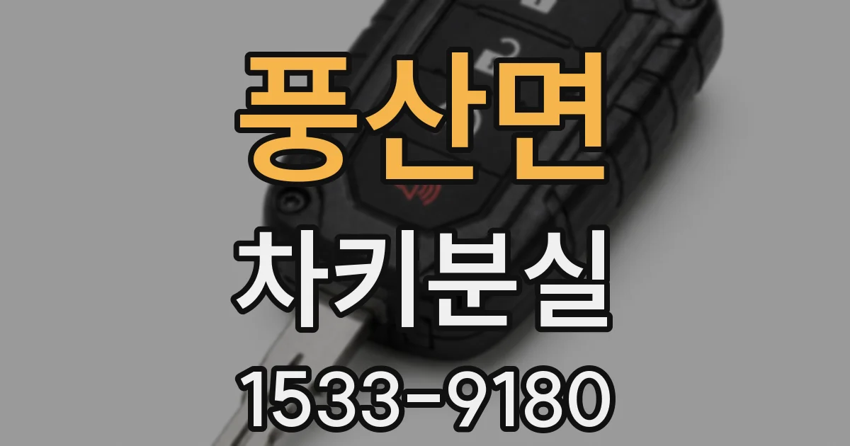 풍산면 차키분실