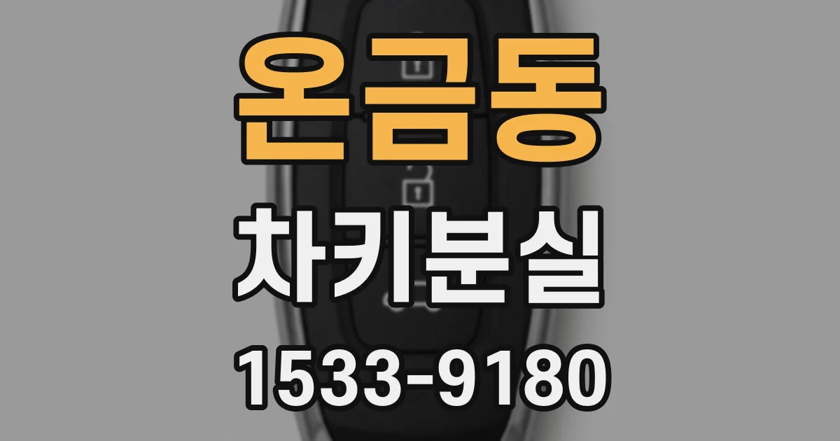 온금동 차키분실