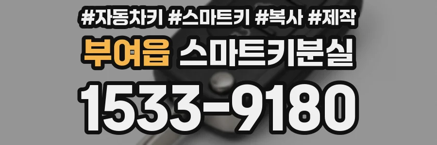 부여읍 스마트키분실