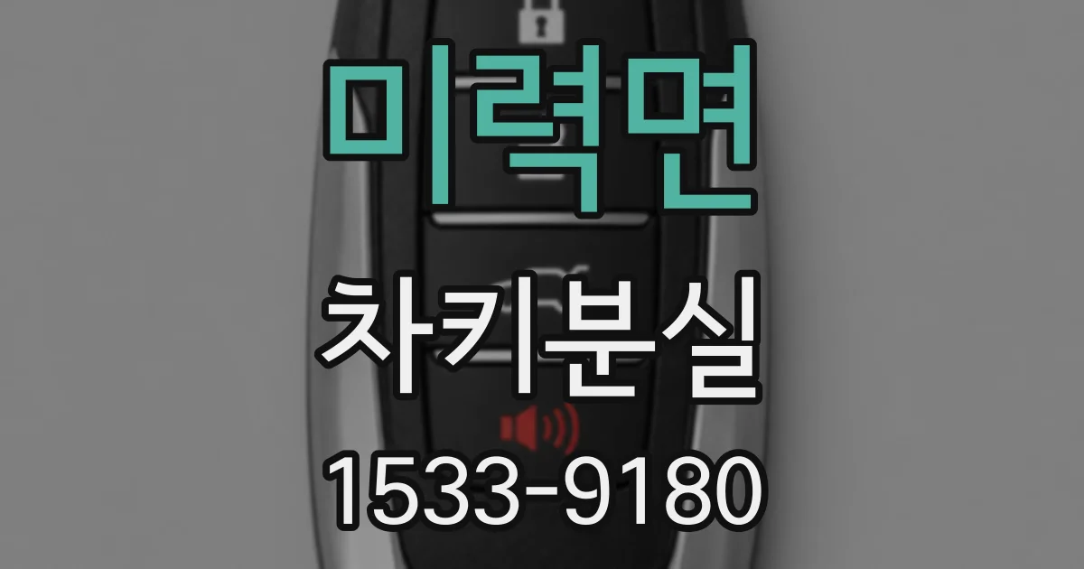 미력면 차키분실