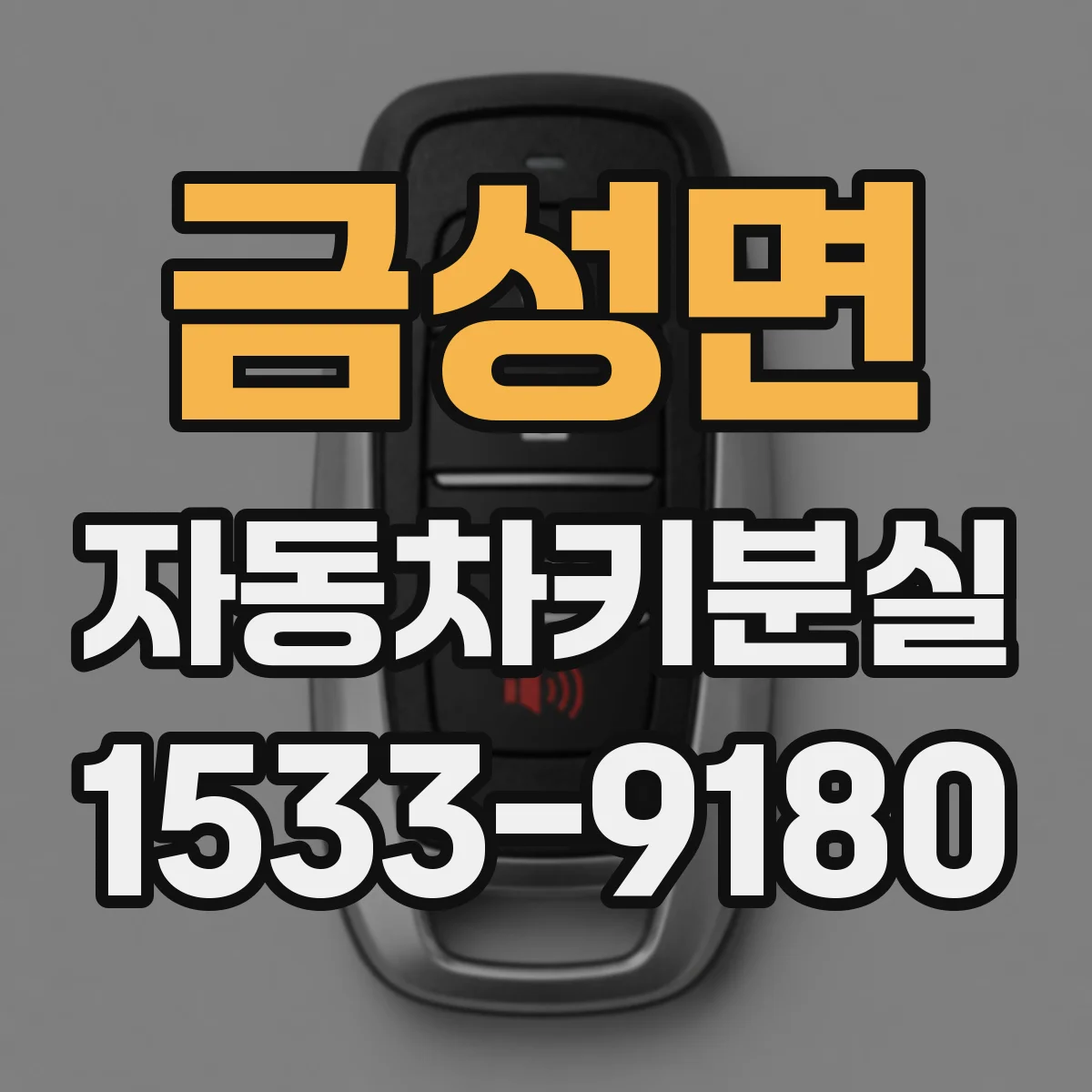 금성면 자동차키분실