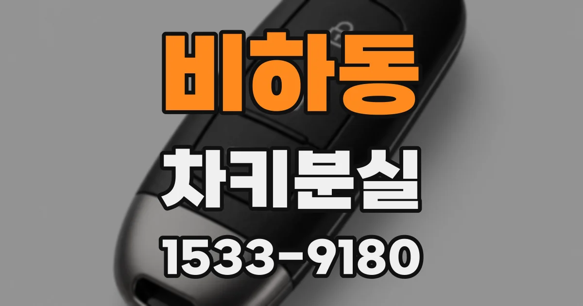 비하동 차키분실