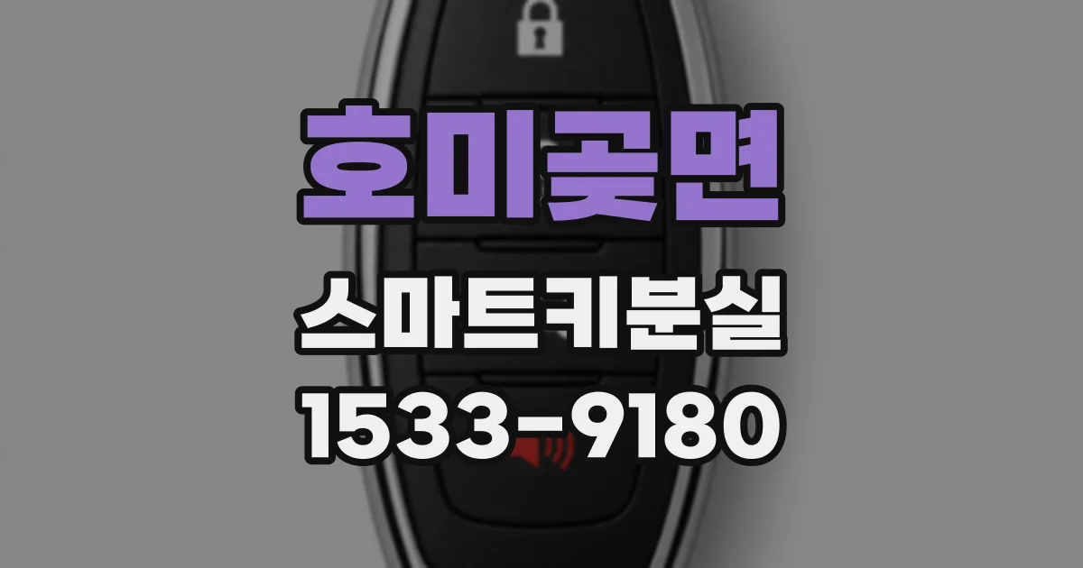 호미곶면 스마트키분실