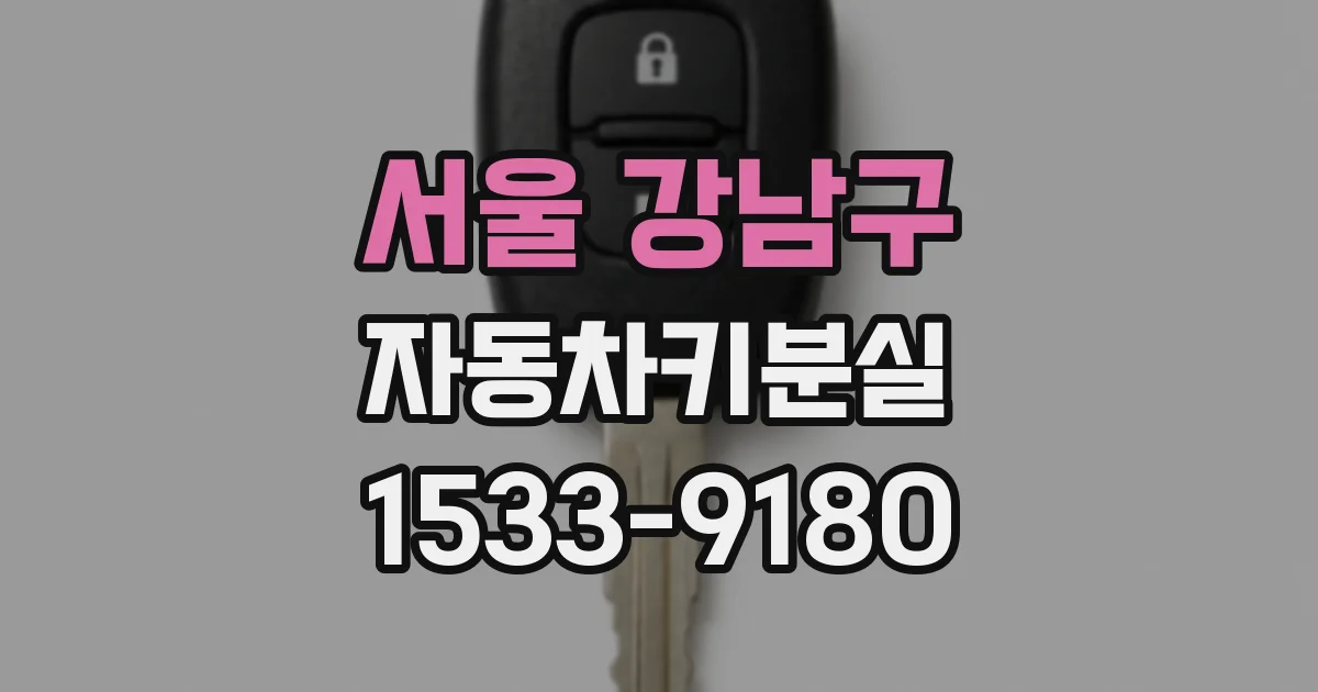 서울 강남구 자동차키분실