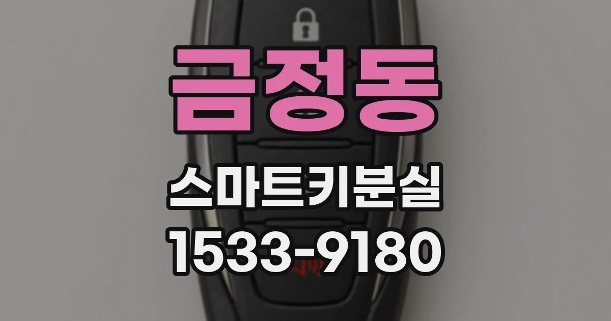 금정동 스마트키분실