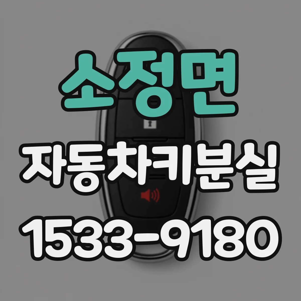 소정면 자동차키분실