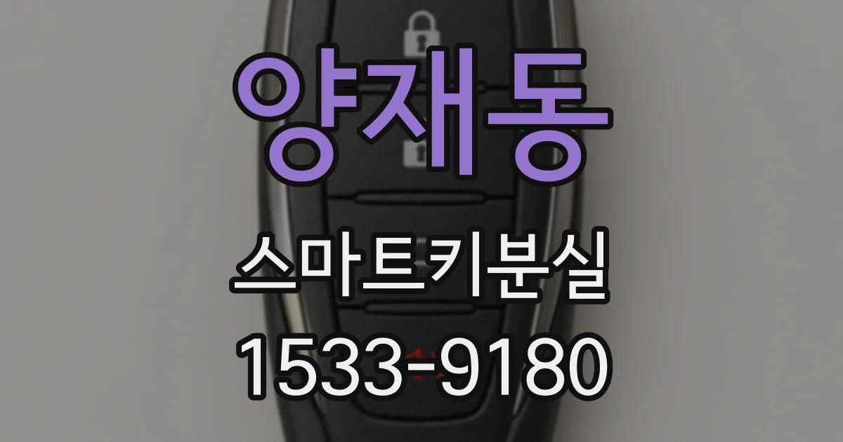 양재동 스마트키분실