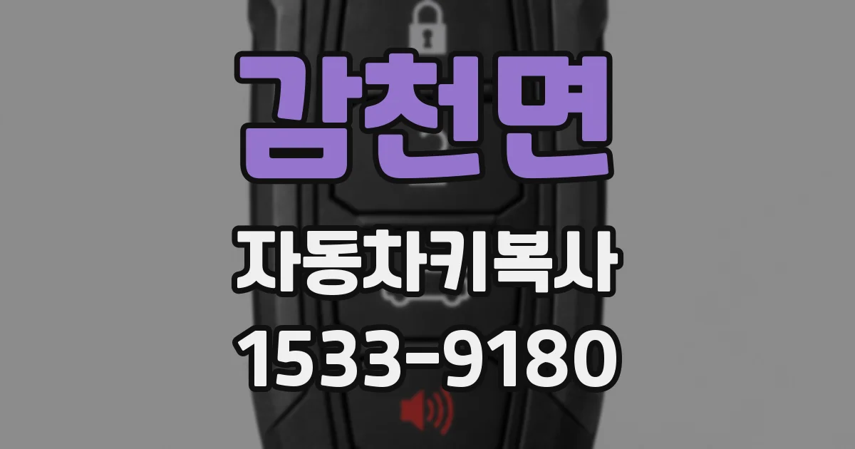 감천면 자동차키복사