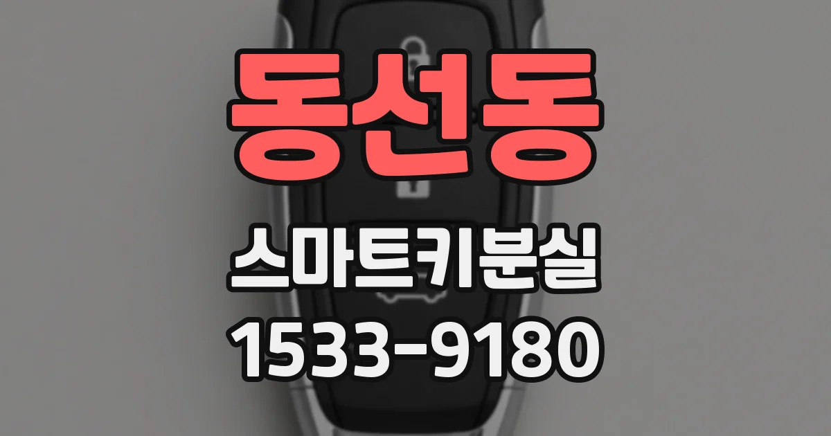동선동 스마트키분실