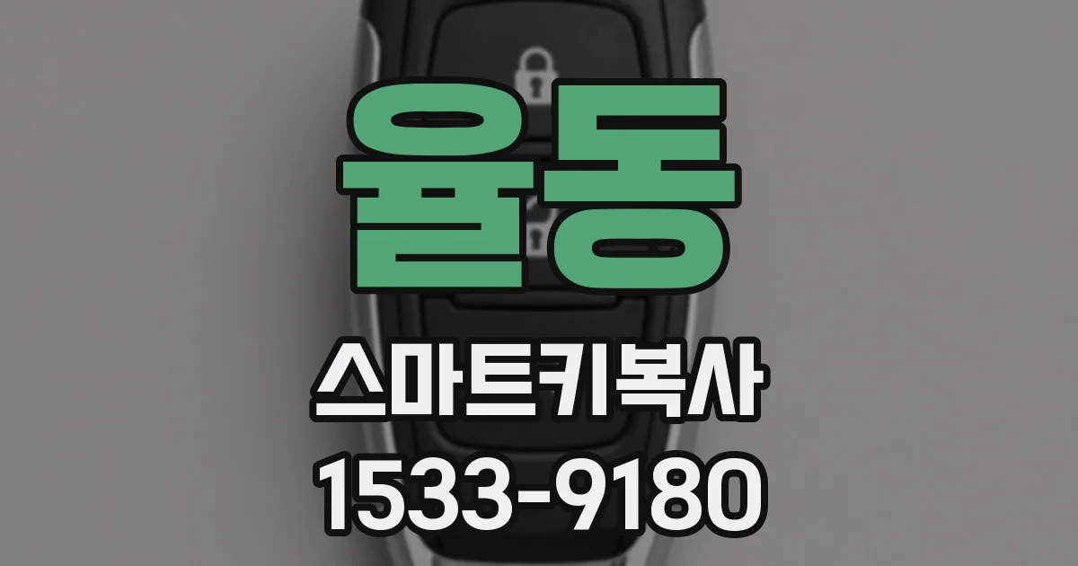 율동 스마트키복사