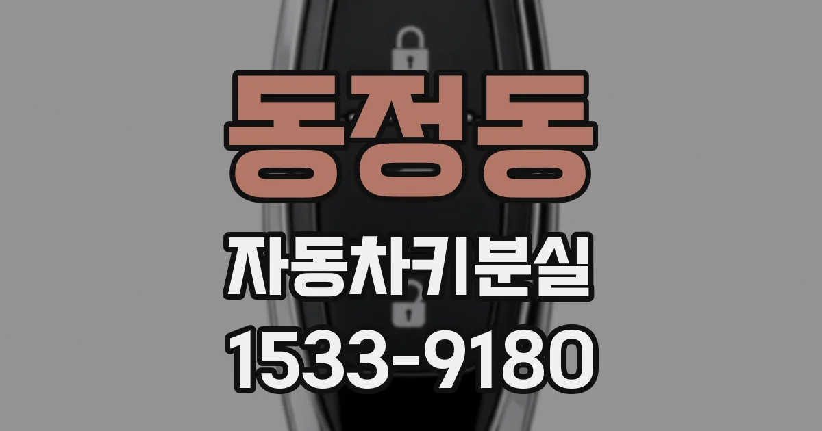 동정동 자동차키분실