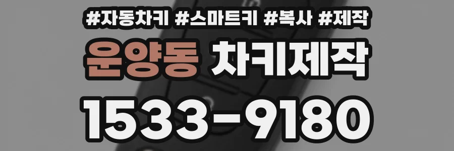 운양동 차키제작