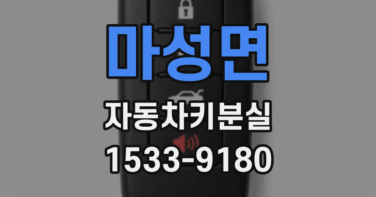 마성면 자동차키분실