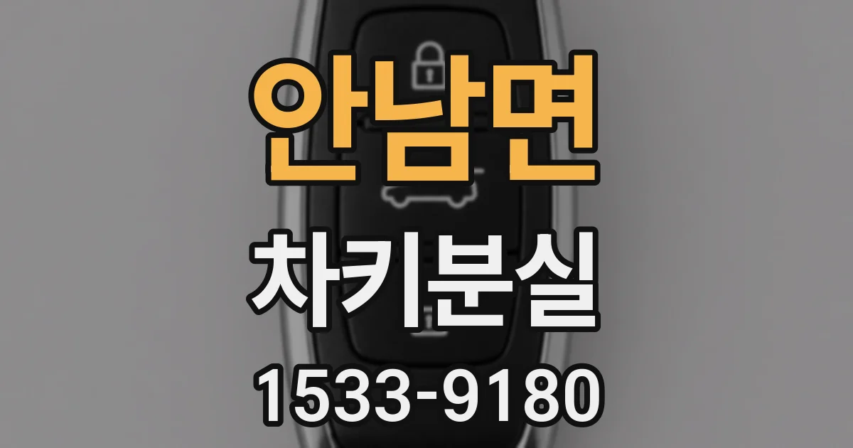 안남면 차키분실