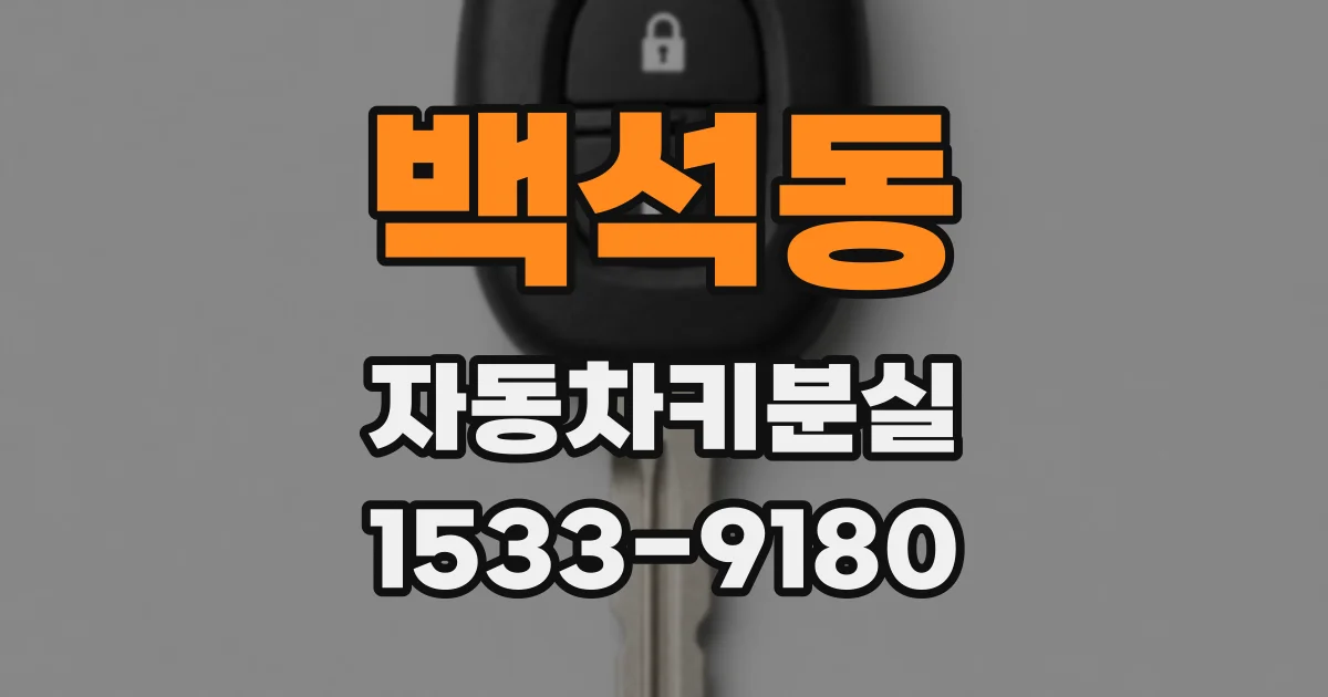 백석동 자동차키분실