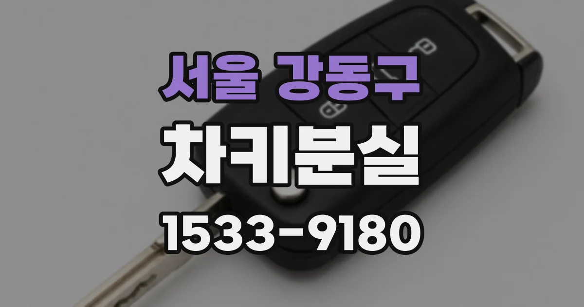 서울 강동구 차키분실