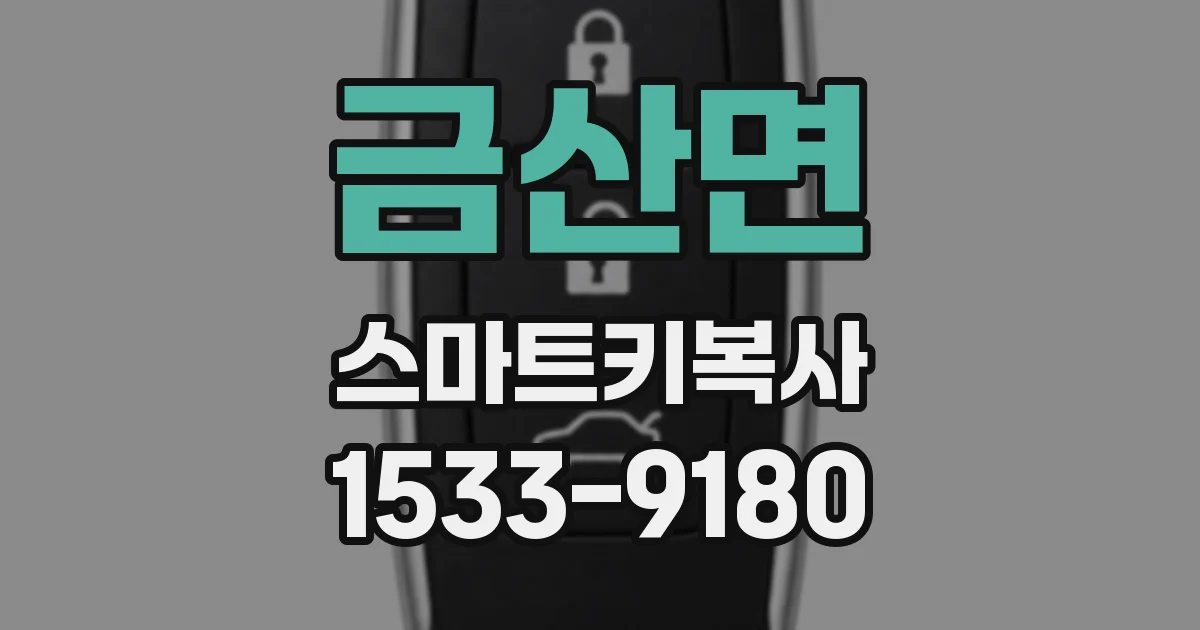 금산면 스마트키복사