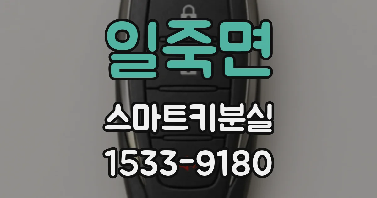 일죽면 스마트키분실
