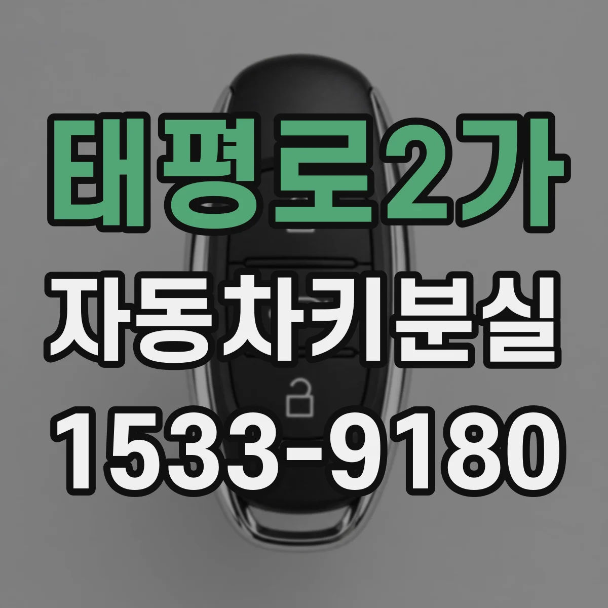 태평로2가 자동차키분실
