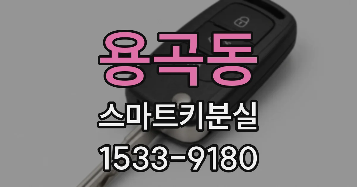 용곡동 스마트키분실