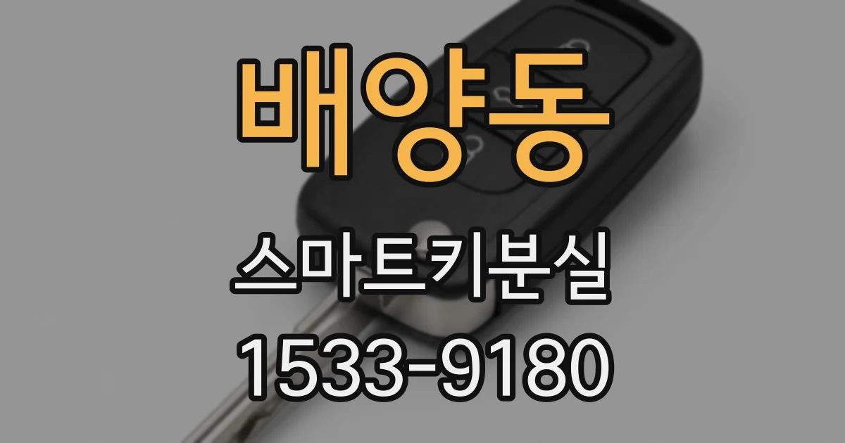 배양동 스마트키분실