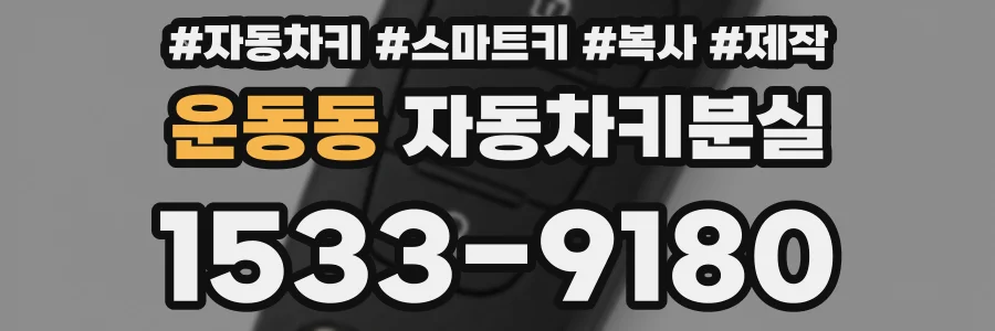 운동동 자동차키분실
