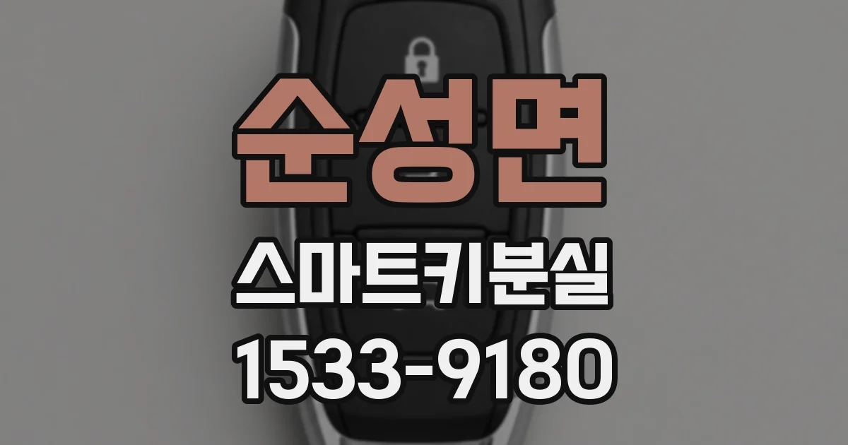 순성면 스마트키분실