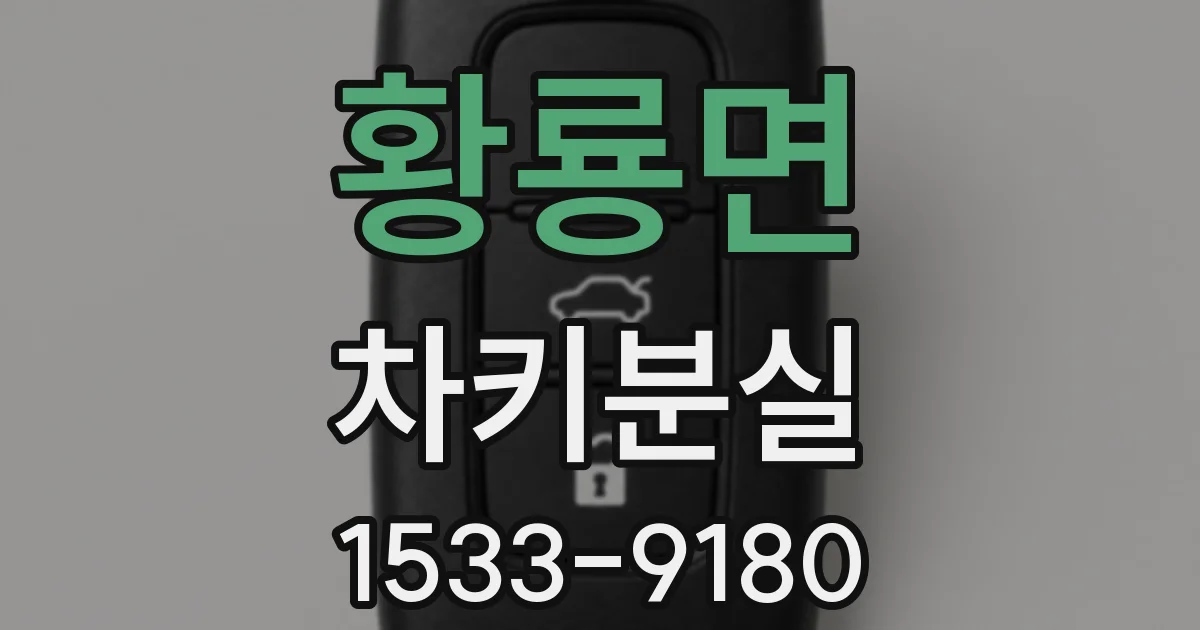 황룡면 차키분실