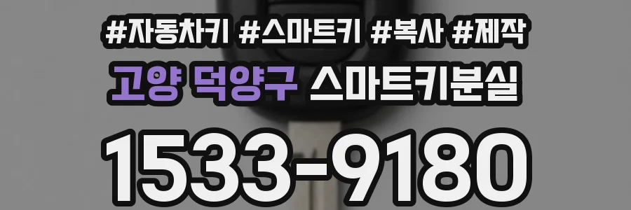 고양 덕양구 스마트키분실