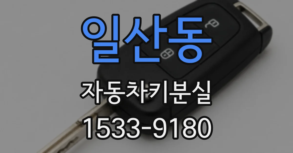 일산동 자동차키분실
