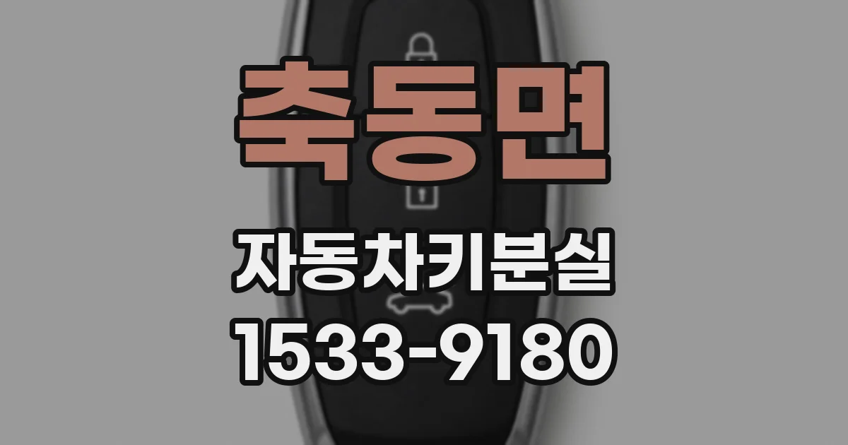 축동면 자동차키분실