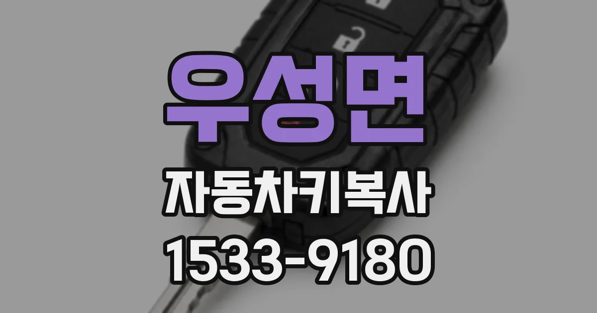 우성면 자동차키복사