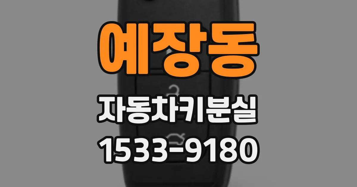 예장동 자동차키분실