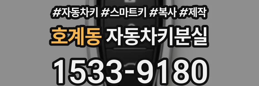 호계동 자동차키분실