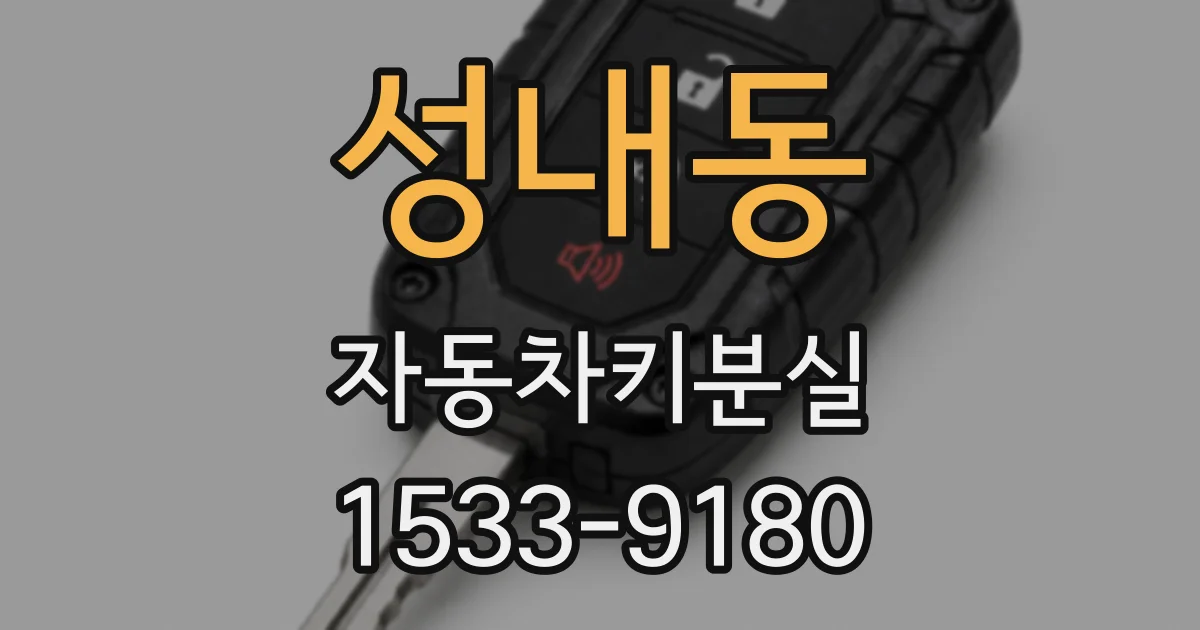 성내동 자동차키분실
