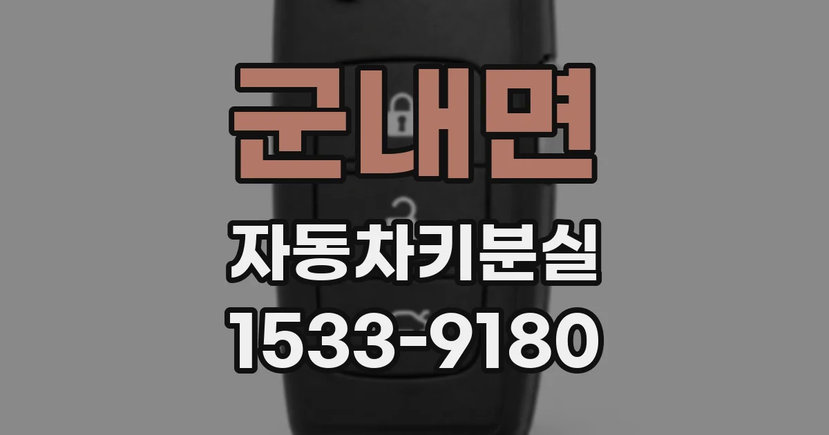 군내면 자동차키분실
