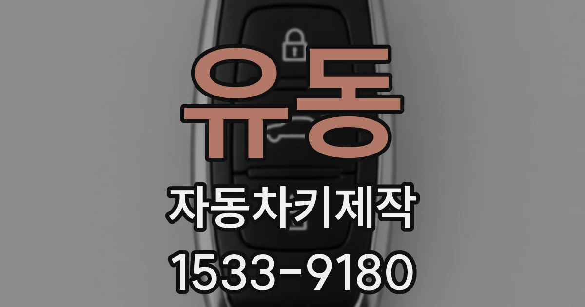유동 자동차키제작