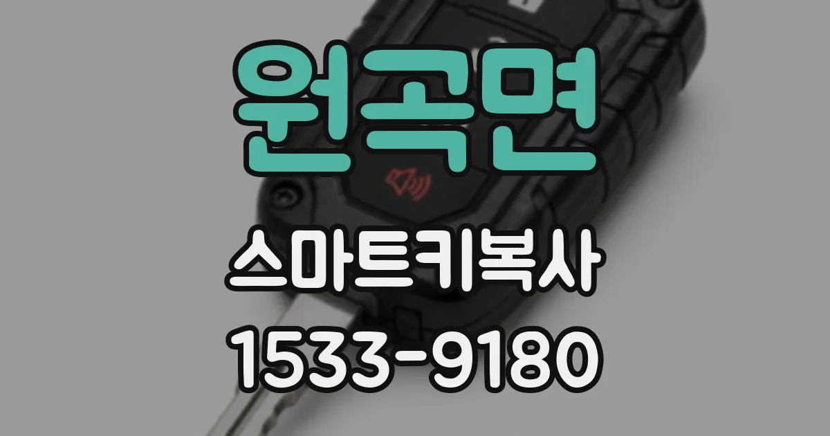 원곡면 스마트키복사