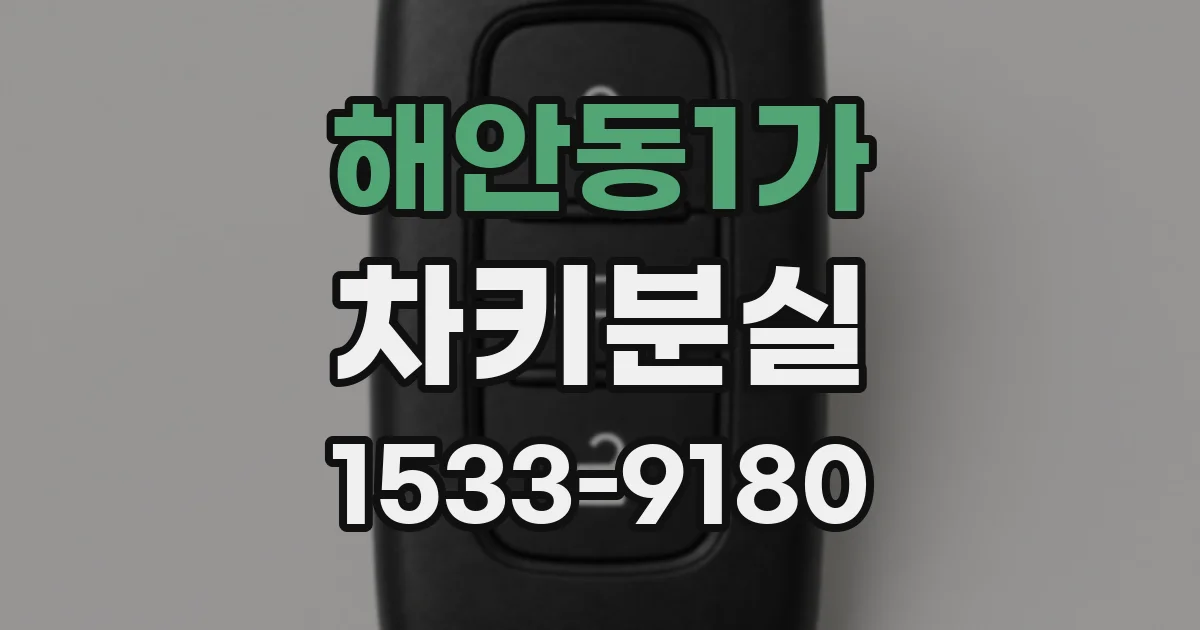 해안동1가 차키분실