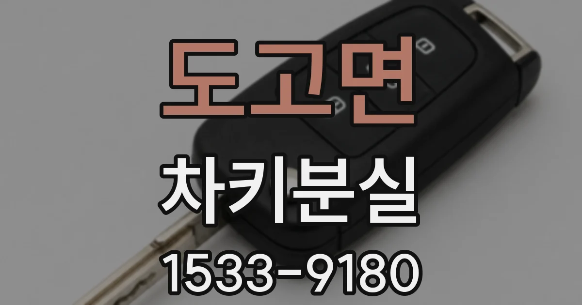 도고면 차키분실