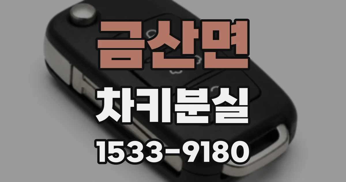 금산면 차키분실
