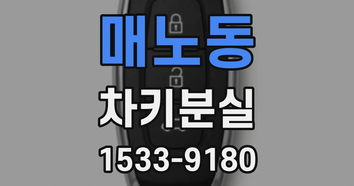 매노동 차키분실