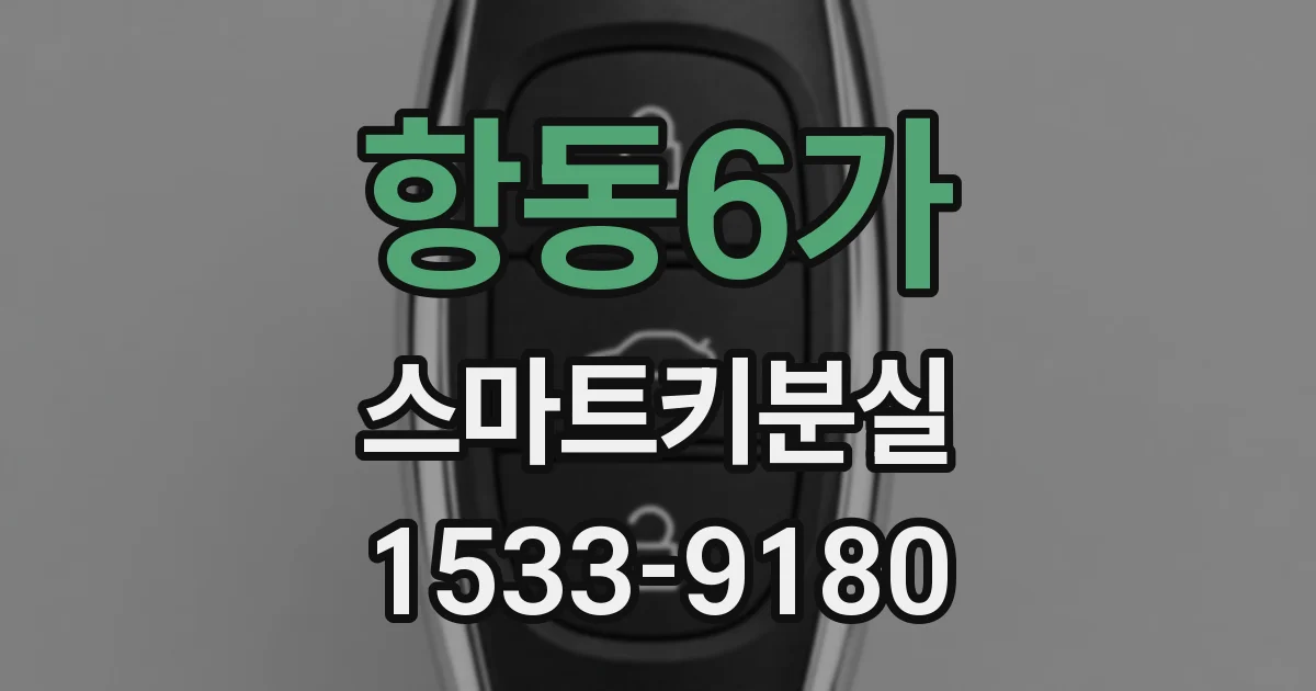 항동6가 스마트키분실