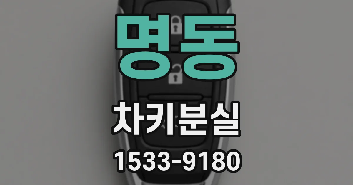 명동 차키분실