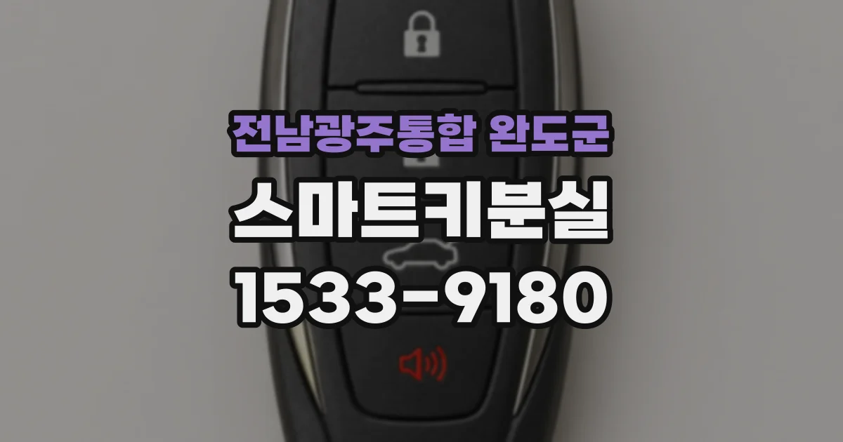 전남광주통합 완도군 스마트키분실