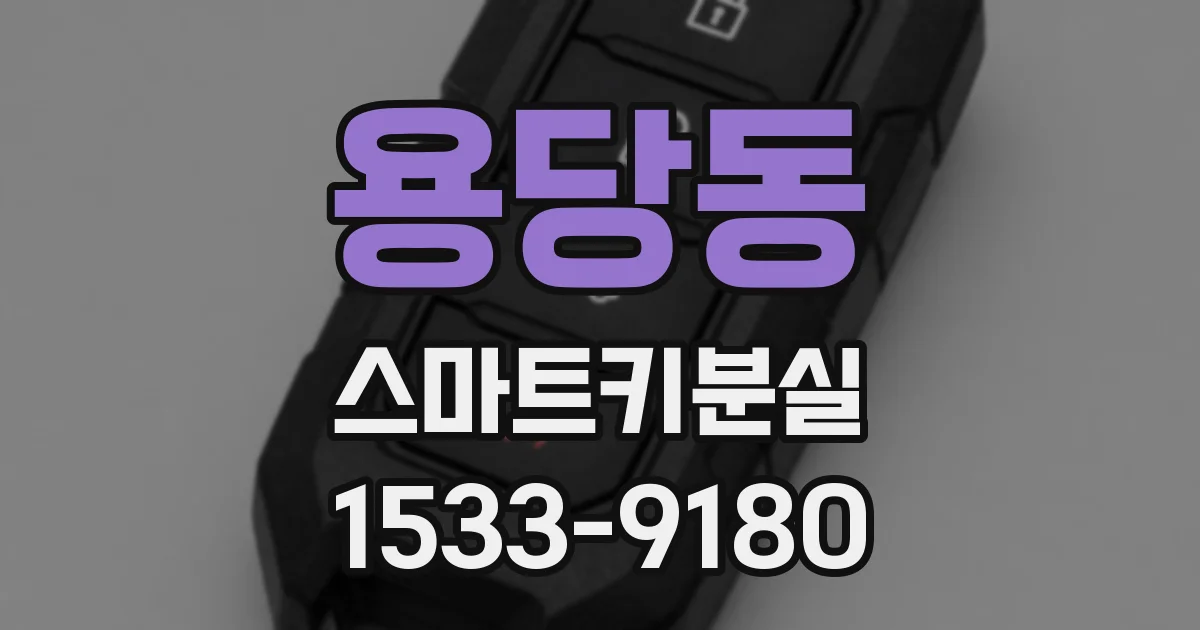 용당동 스마트키분실