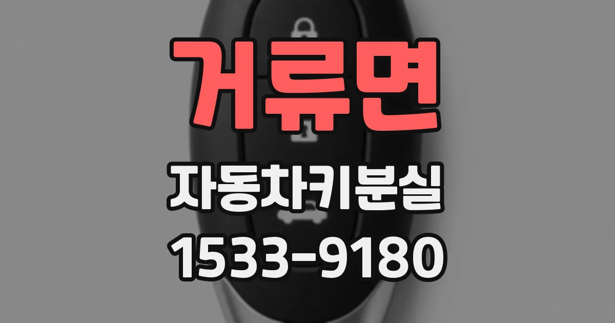 거류면 자동차키분실