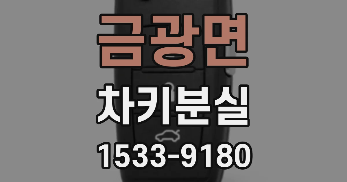 금광면 차키분실