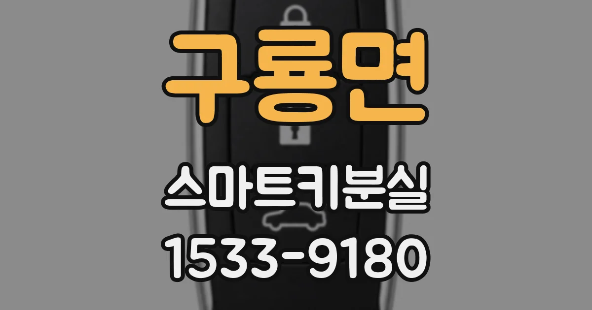 구룡면 스마트키분실